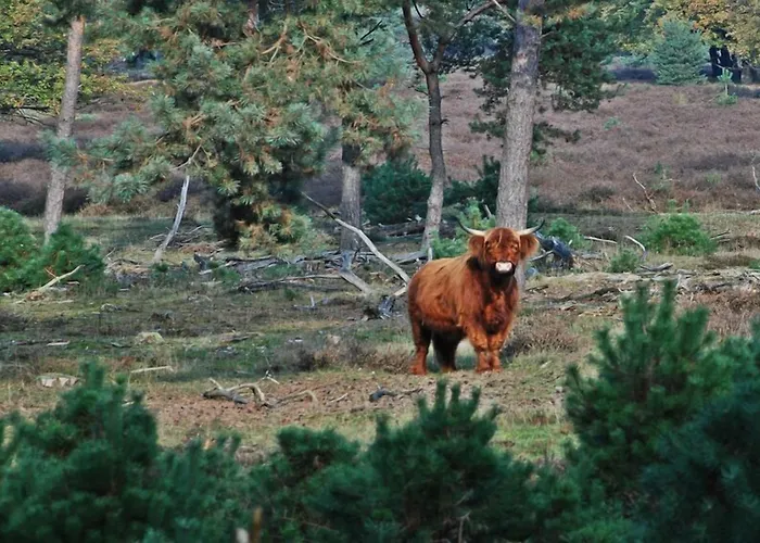Der Valk De Molenhoek-nijmegen 4* مولينهوك