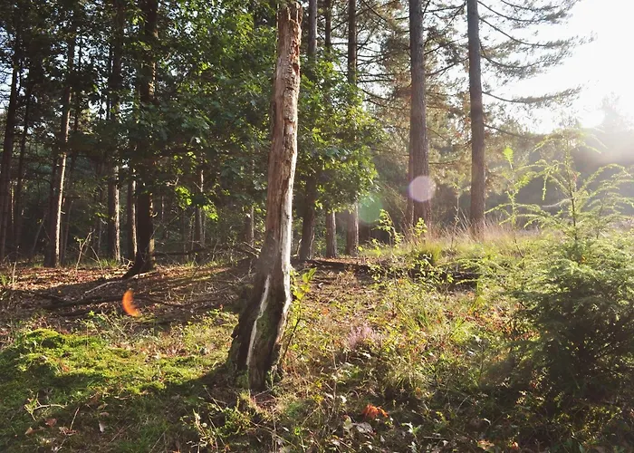 Der Valk De Molenhoek-nijmegen ホテル 4*