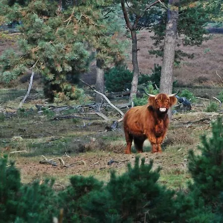 Der Valk De Molenhoek-nijmegen 4* Molenhoek